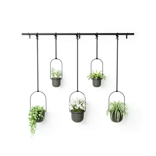 Umbra Triflora Hanging Planter Black 5 Pack