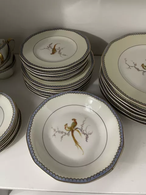 Haviland Limoges China Set 40 Pieces