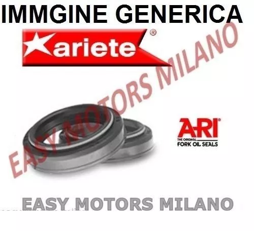 Coppia Paraoli Forcella Ariete Ari.114 Tc4 Gilera 50 Rcr 50 2005 36X48X11