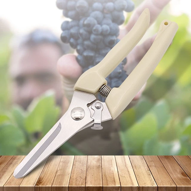 Ciseaux de jardin Outils à main Outil de greffage de jardin Pruneur greffage