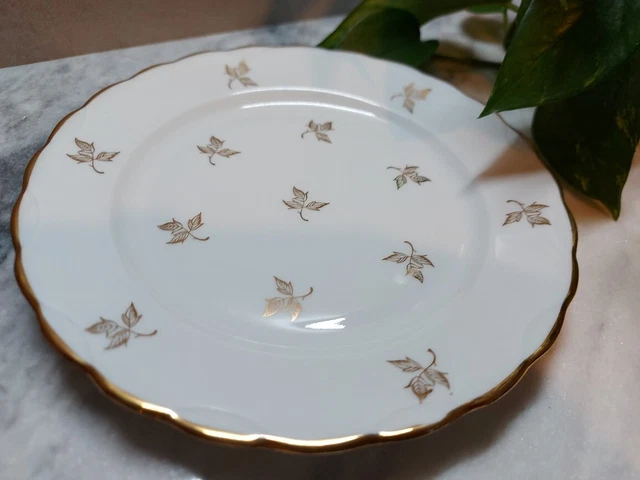 Assiettes à Dessert Royal Albert Old Country Roses - Lot De 4 En Porcelaine Fine, Bord Or 22 Carats, 20 Cm - 9