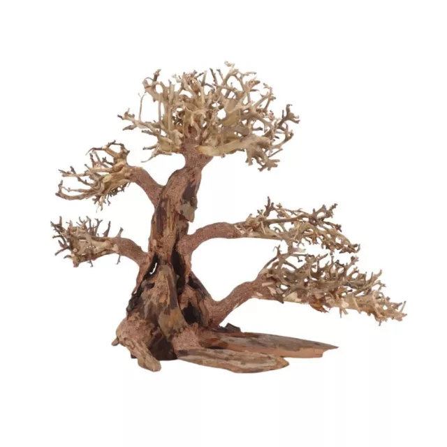 XL Bonsaï Arbre Nr.12051 Racine Bois Aquarium Déco Aquascaping Nature Oriental