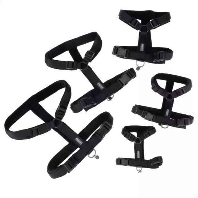 Dog Harness Ebony Lightweight and Fully Adjustable for a Great Fit and Comfort