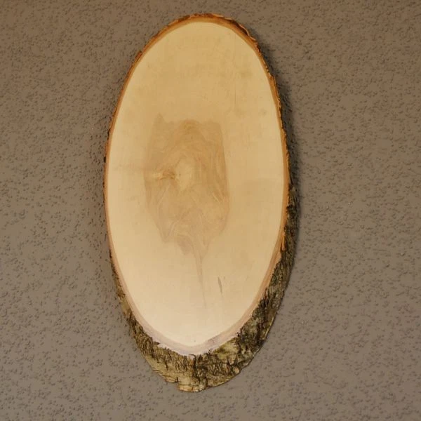 Abedul Ciervo AF35cm Placa Escudo de Trofeo Cornamenta Baumschild Natural Madera