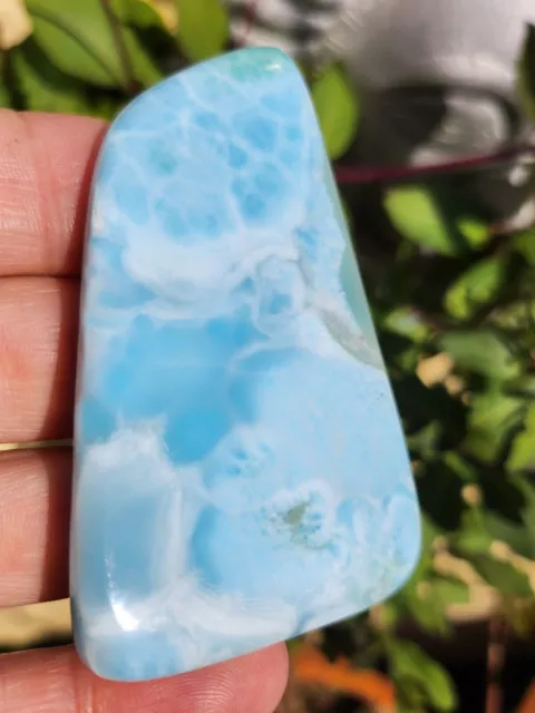 Larimar Delfin Polierte Platte Edelstein Dominikanische Republik Echt 64g AAA