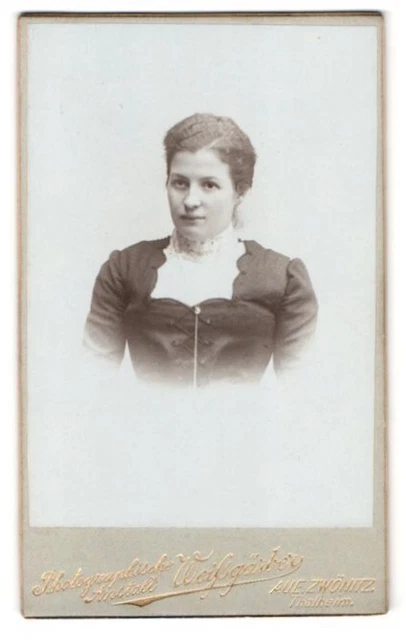 Fotografie Weißgärber, Zwönitz, Portrait junge Dame im modischen Kleid
