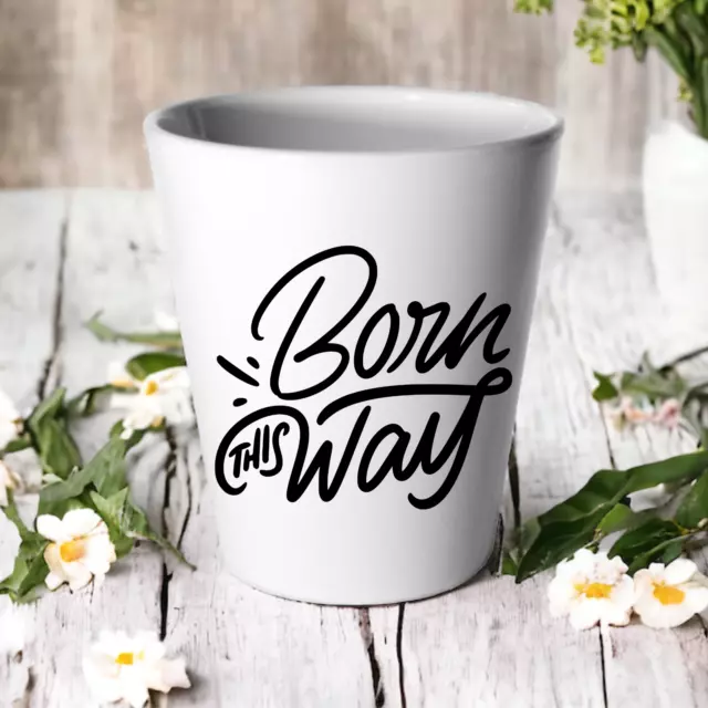 Born This Way Plant Pot Succulent Cactus Flower / Sassy Pride Gay Lesbian Gift