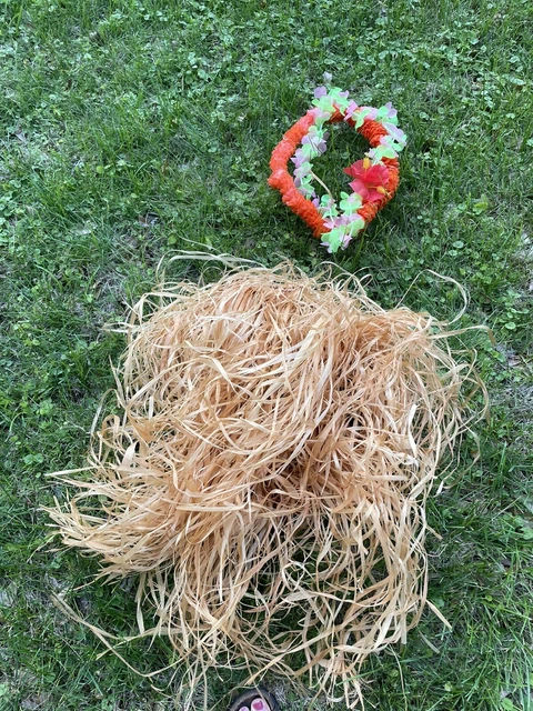 hawaiian hula skirt