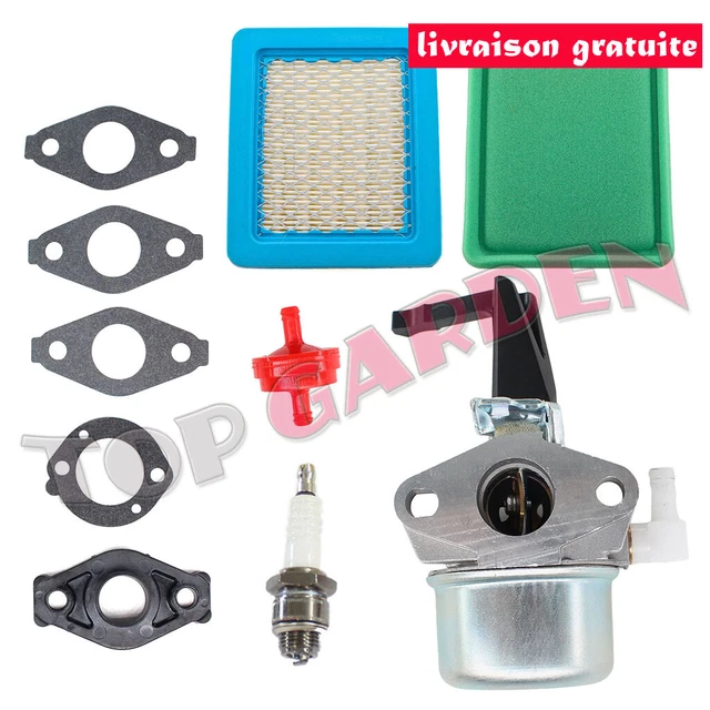 696065 Carburateur YL-991 YL-999 YL-721 Pour motoculteur 697422 110412 110402
