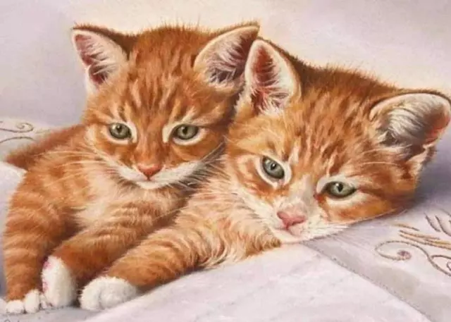 MXJSUA DIY 5D Cat Diamond Painting Kits for Adults Round Full Drill Animals Art