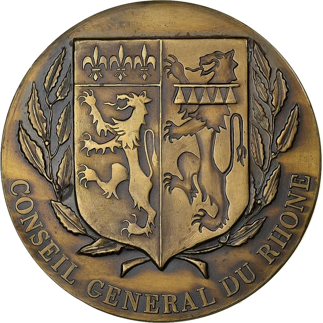 Médaillon Bronze Conseil Général De La Guadeloupe - 220 G, 70 Mm - Très Bon état