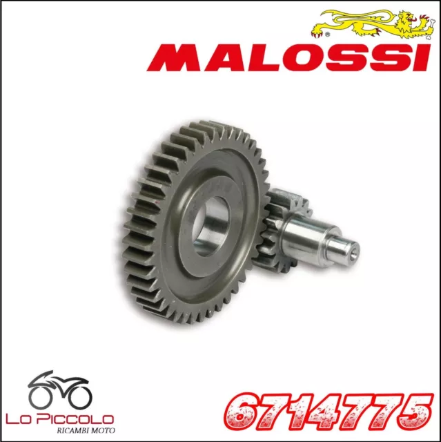 6714775 Ingranaggi secondari MALOSSI HTQ z 14 / 43 MALAGUTI F12-PHANTOM 50 2T LC