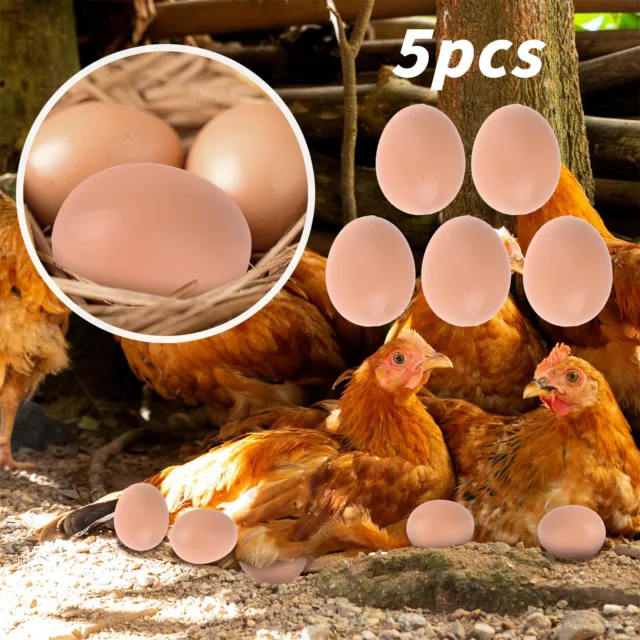5Pc Plastic Fake Chicken Eggs Poultry Layer Coop Hatching Simulation New AU