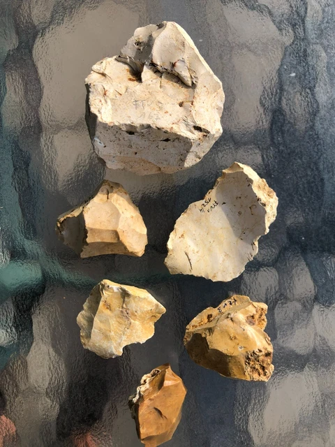 A collection of six Paleolithic Mousterian Lithic Artifacts France