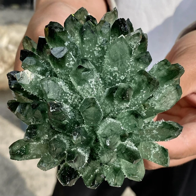 1.30LB New Find Green Phantom Quartz Crystal Cluster Mineral Specimen Healing 6