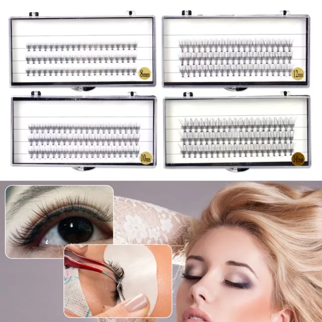 Natural False Fake Cluster Eyelashes Graft Extension Individual Makeup Tray rt