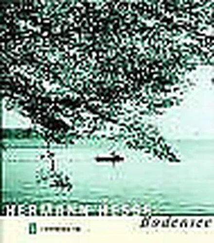 Lac de Constance Hesse, Hermann Livre
