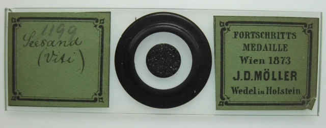 1873 Progress Medal J.D. Moller Microscope Slide Sea Sand Viti Dry Mount