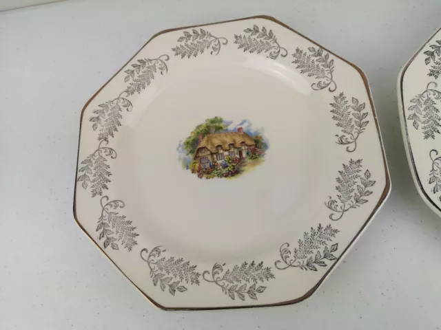 3 Vintage J&G J & G Meakin LIBERTY Royal Staffordshire 8 Sided Dinner Plates VGC 3