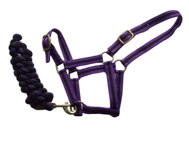 Harlequin Horse Pony Headcollar And Rope Set Many Colours All Sizes Affordable