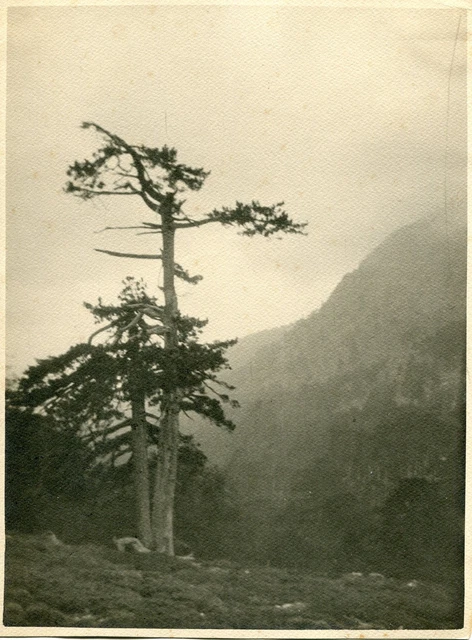 1925 Vergio Col De Corse Photo 24 X 17 Format