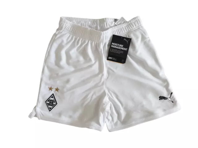 Puma Borussia Mönchengladbach Shorts Kinder Größe 128 140 152 164 -NEU- Hose