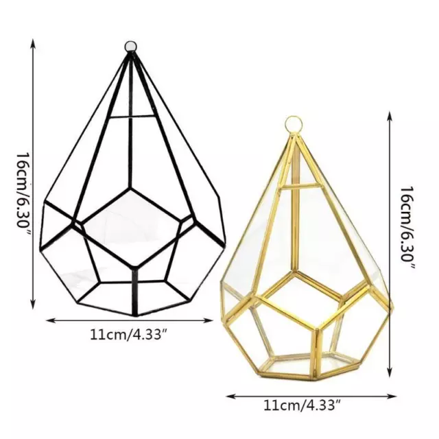 Hanging Glass Terrarium Modern Artistic Wall Tears Shape Diamond Geometric Air