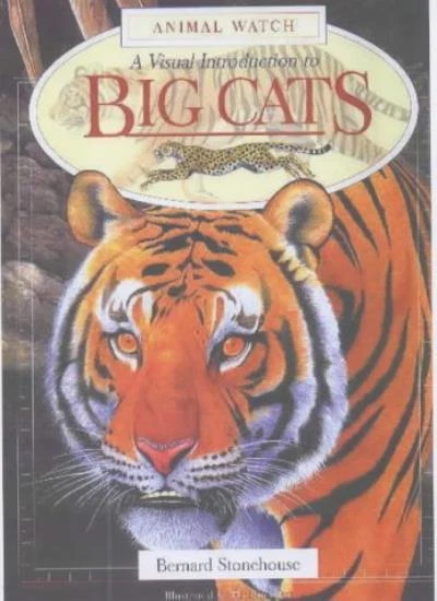A VISUAL INTRODUCTION to Big Cats (Animal Watch) By Bernard Ston EUR 47 ...