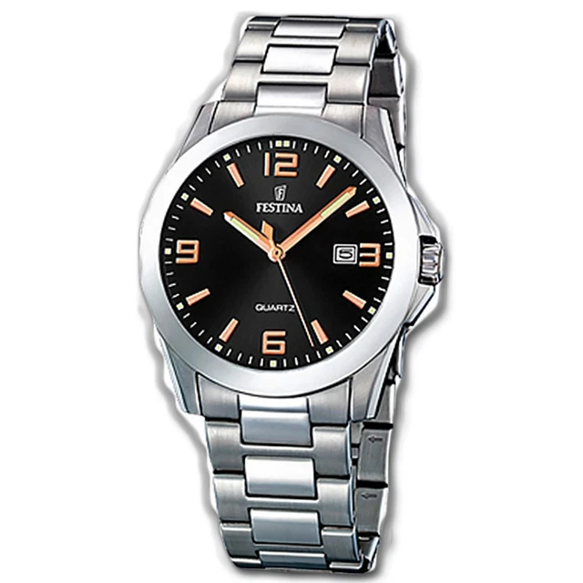 Festina Classics Men's Watch F16376/4