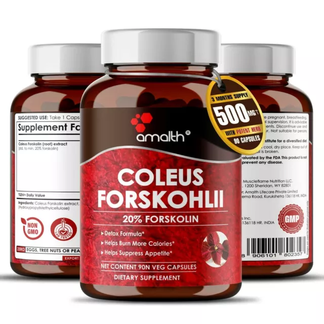 Coleus Forskohlii Estratto 20% Forskolin supplemento dimagrante 500 mg 90...