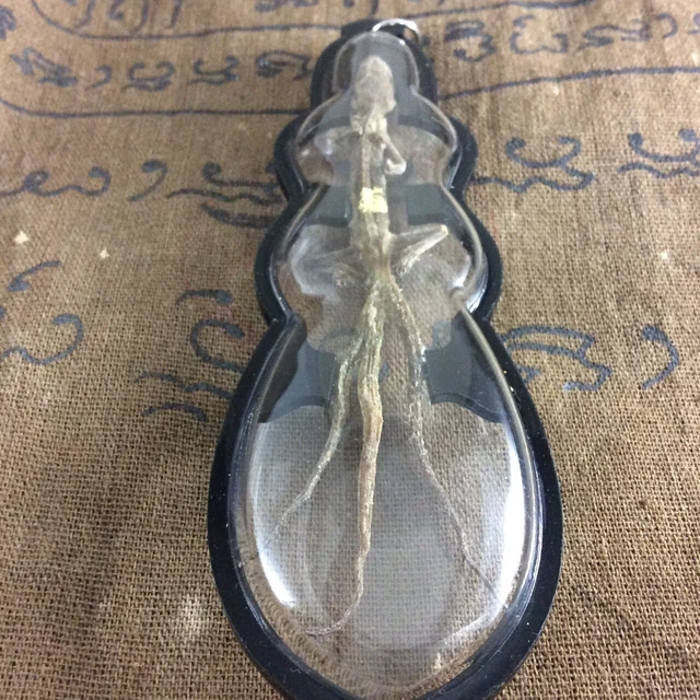 3 Tailed Lizard Gecko Reptile Wealth Amulet Pendant Lucky Gamble Money Fortune