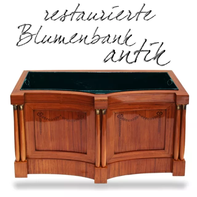 Pflanzkasten antiker restaurierter Blumentisch Jardiniere Zitronenholz EXQUISIT