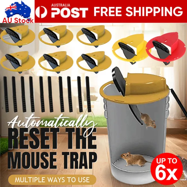 https://www.picclickimg.com/KuMAAOSw-OJk2tee/Mouse-Trap-N-Flip-Slide-Bucket-Lid-Mice.webp