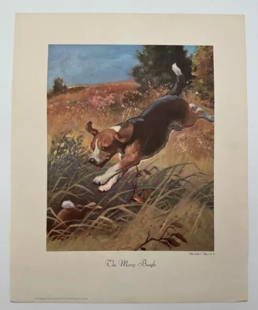The Merry Beagle, Vintage 1955 Wesley Dennis Art Print, Vintage Dog Print