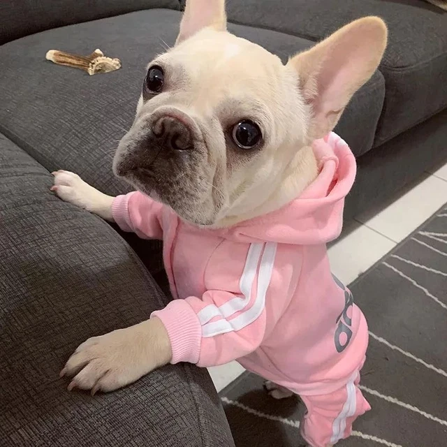 Pet Clothes French Bulldog Puppy Pet Jumpsuit Pug Pets Dog Clothing Dog Costume