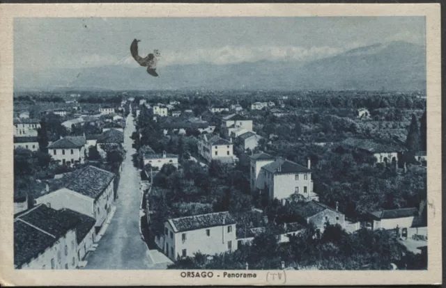 ORSAGO - Cartolina - Panorama - (3849)