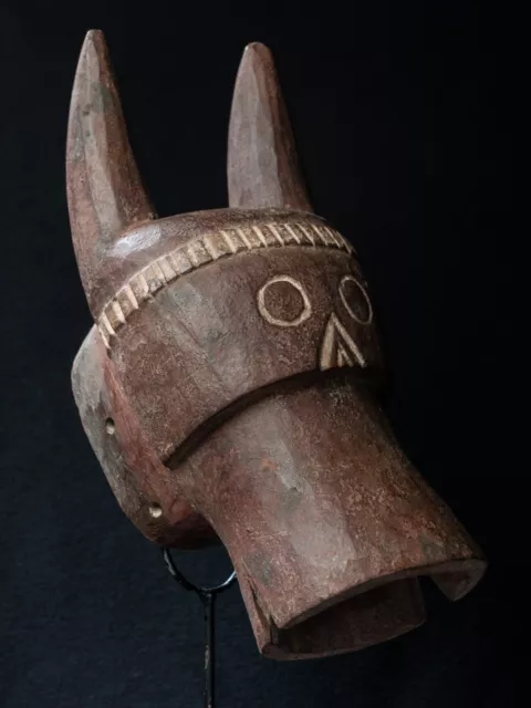 Chamba Bushcow Helmet Mask, Nigeria, West African Tribal Art.