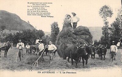 Cpa 63 En Auvergne La Fenaison / Agriculture