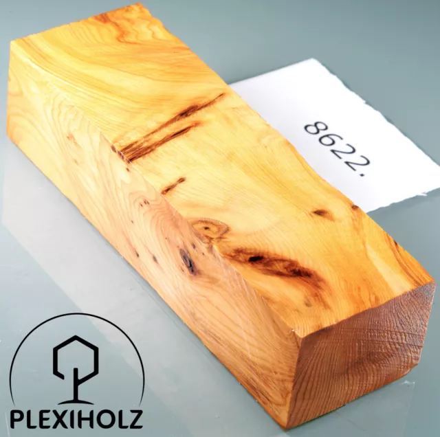 Thuja measles handle block stabilized | 130x40x30 | plexi wood | knife construction | 8622