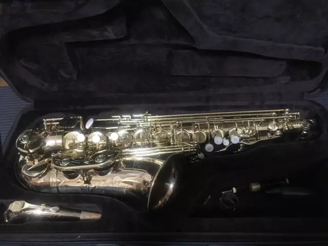 Festi A1800GG Alto Saxophone With Exclusive Case 604T