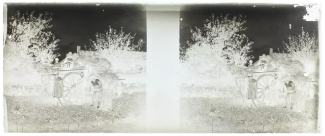 France Famille Harvest c1930 Photo NEGATIVE STEREO Glass Plate Vintage V36L 2