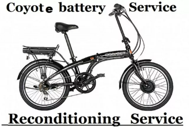 connect folding e bike
