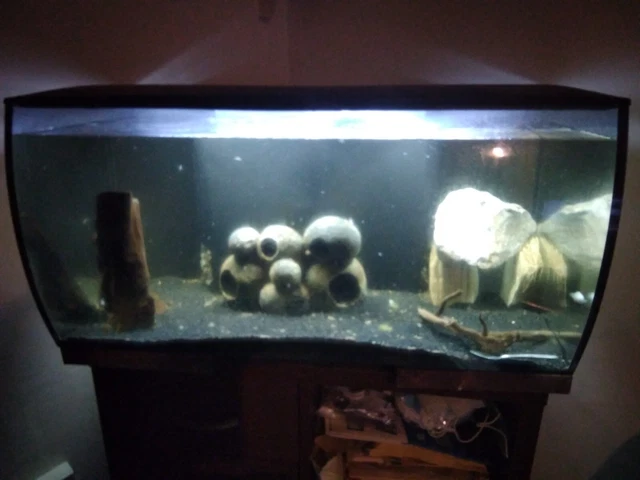 Fluval Flex 123L Fish Tank Aquarium with LED aquasky light