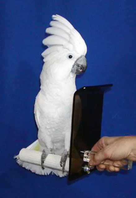 PERCHOIR DE SÉCURITÉ GARDE-MORSURE - pour NIPPY BIRDS - 1" de diamètre pour petits perroquets