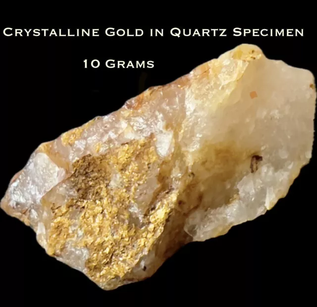 10g Natural Raw Crystalline Gold In Quartz Specimen From California - Very Rare