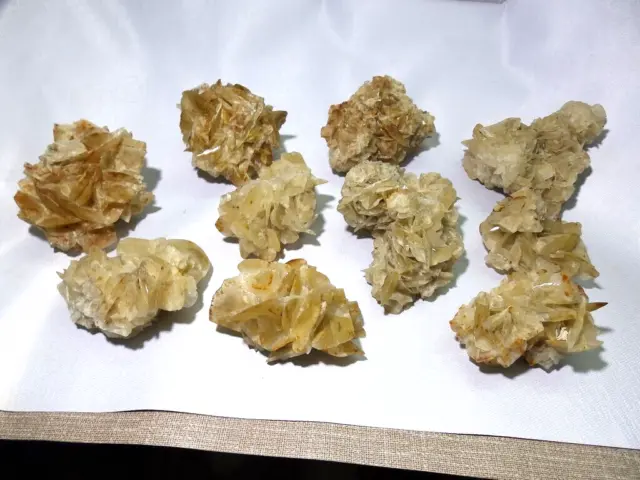 Minerales " Precioso Lote De 10 Rosas De Yeso De Castrillo Del Val  -  2A24 ".
