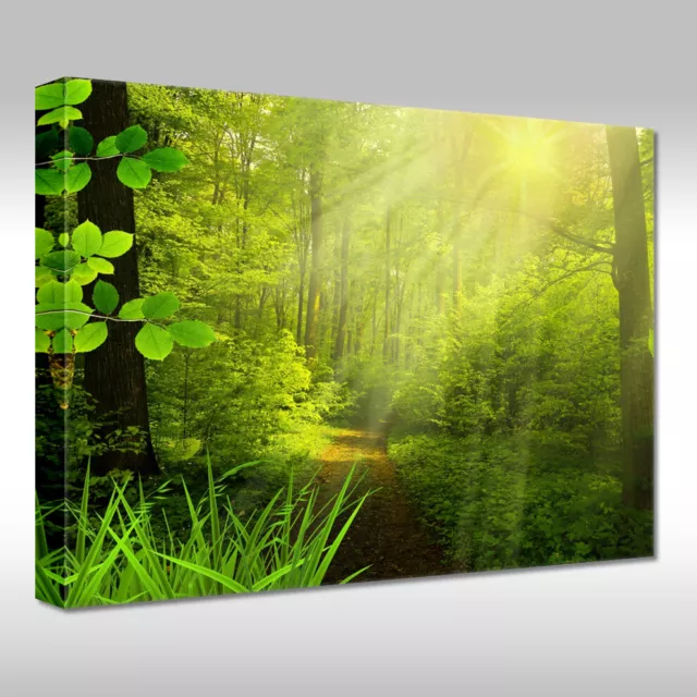 Leinwandbild Canvas Print Wandbild Landschaft Sonnenstrahlen durch Bäume im Wald