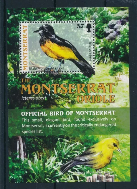 [23762] Montserat 2009 �Birds vogels oiseaux �uccelli Souvenir Sheet MNH