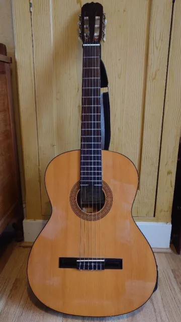 electro acoustic guitar