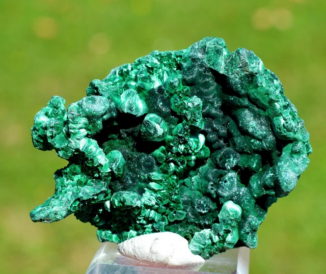 Malachit 78 Gramm - DER STERN Des Kongo Mine, Lubumbashi, Dr Kongo